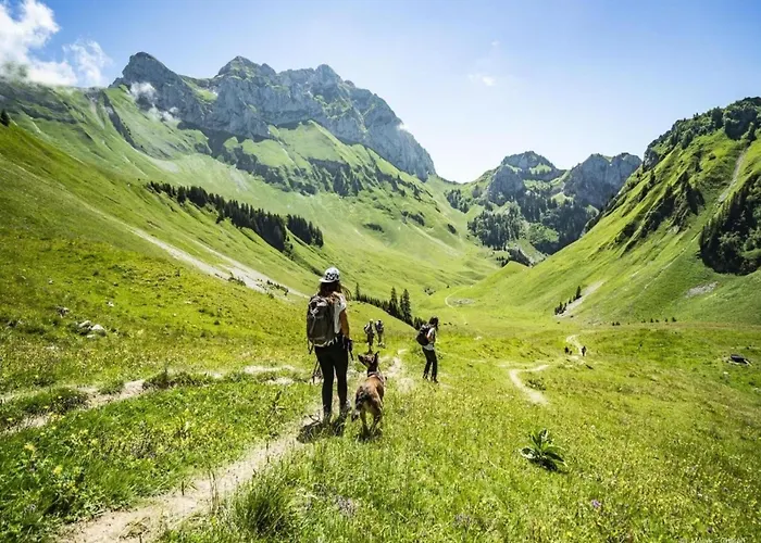 Appartement Val Pierre For 8 People Châtel